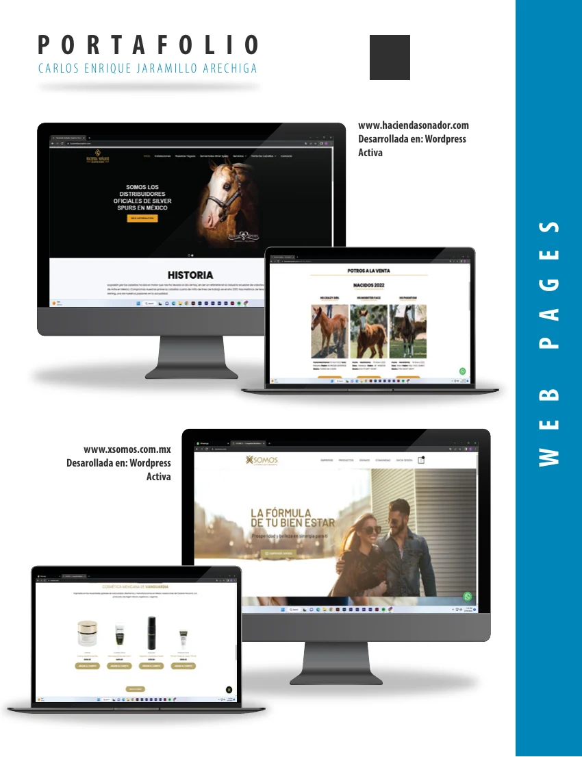 WordPress websites designed for Hacienda Sonador and XSomos